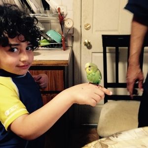 Meet your Posher, Ihab